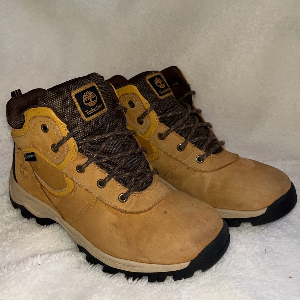 Timberland kids Wheat and Dark Brown Waterproof Boots